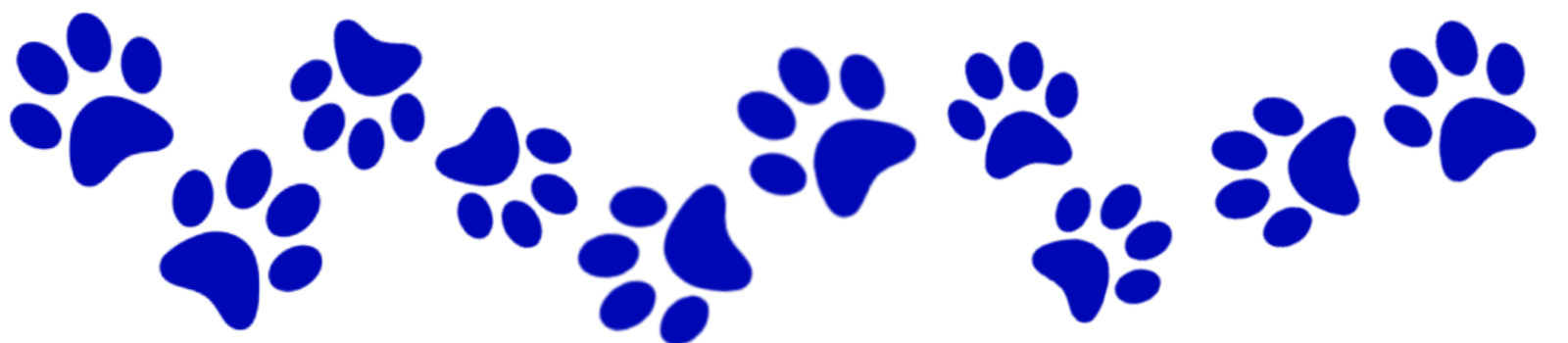 ldnpets bluepaws deco